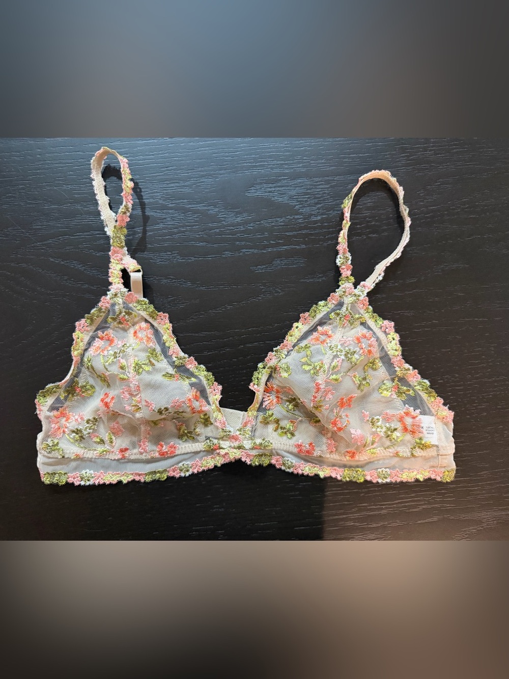 aerie Floral Embroidered Sheer Bralette in Pink & Green NWOT